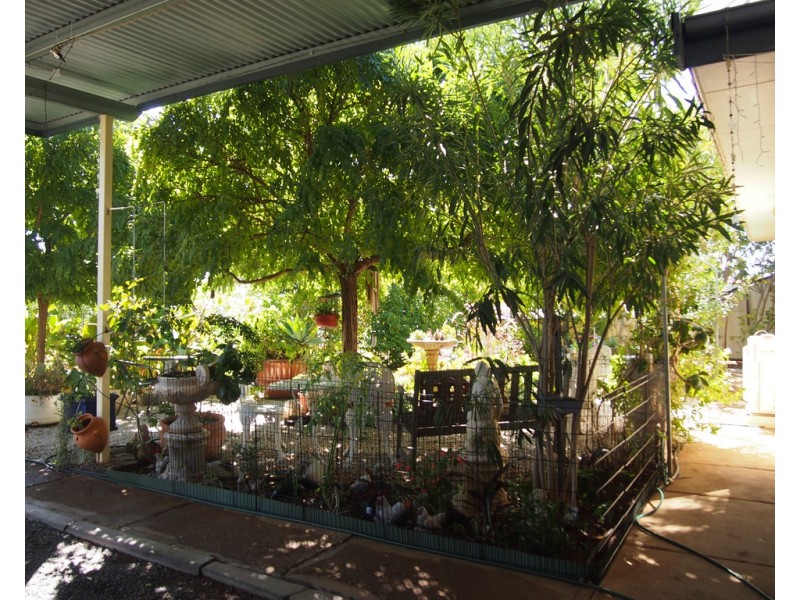 29 Turner Street, Condobolin NSW 2877