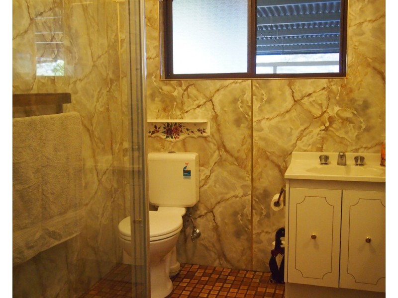 29 Turner Street, Condobolin NSW 2877