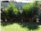 5 Hume Street, Parkes NSW 2870