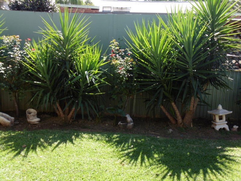 5 Hume Street, Parkes NSW 2870