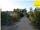 49 Reymond Street, Forbes NSW 2871
