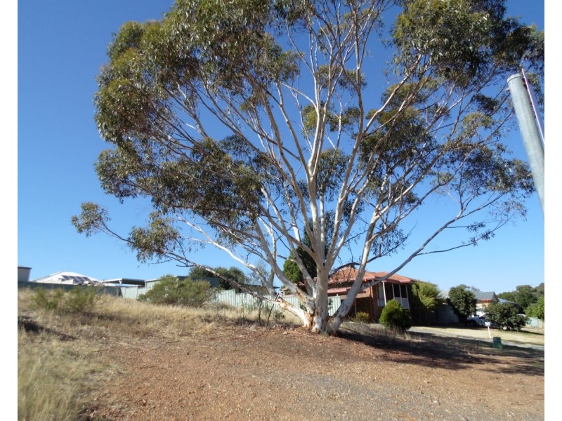 27 Park Street, Parkes NSW 2870