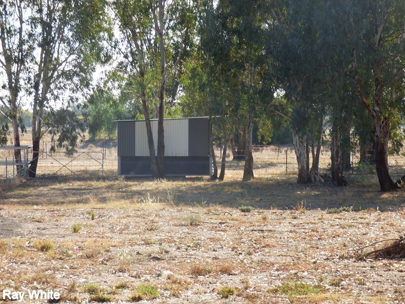 47 Show Street, Forbes NSW 2871
