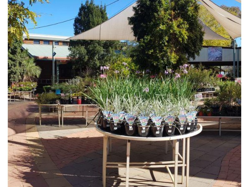 33-35 Forbes Road, Parkes NSW 2870