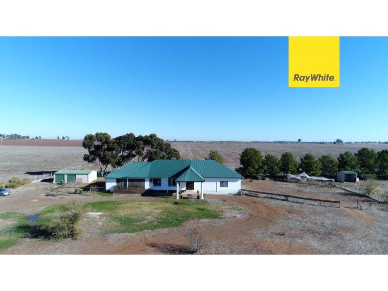 331 Calarie Road, Forbes NSW 2871