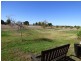 331 Calarie Road, Forbes NSW 2871