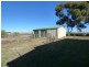 331 Calarie Road, Forbes NSW 2871