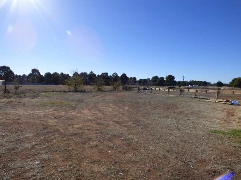 331 Calarie Road, Forbes NSW 2871