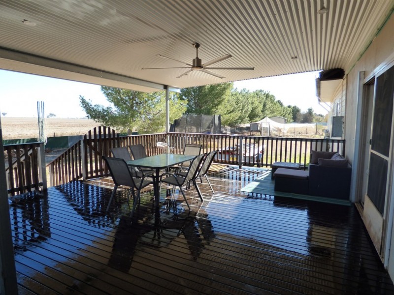 331 Calarie Road, Forbes NSW 2871