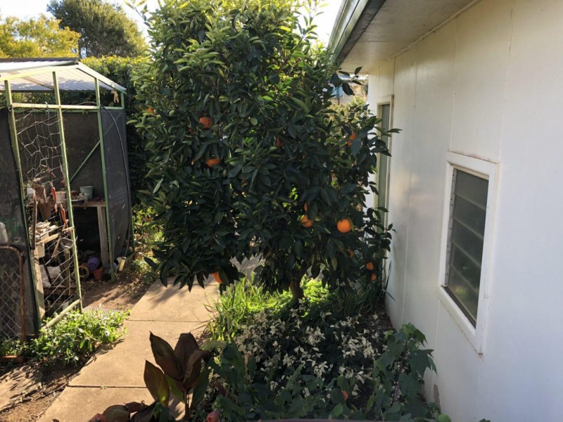 9 Pearce Street, Parkes NSW 2870