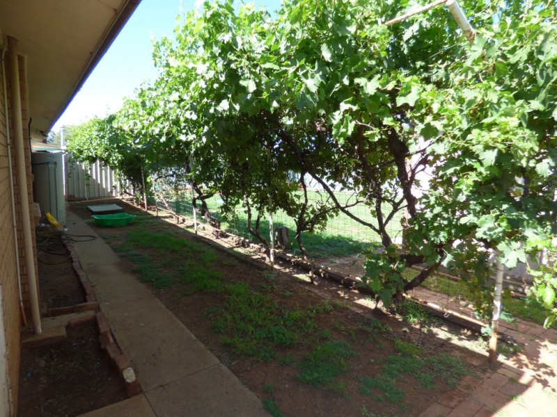 28 Coolabah Street, Forbes NSW 2871