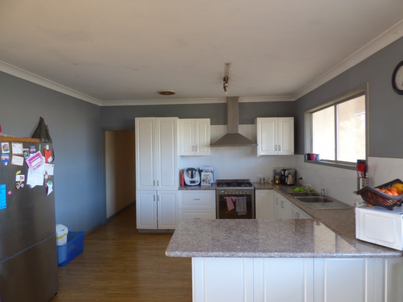 17 Cargo Lane, Forbes NSW 2871