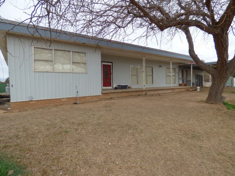 17 Cargo Lane, Forbes NSW 2871