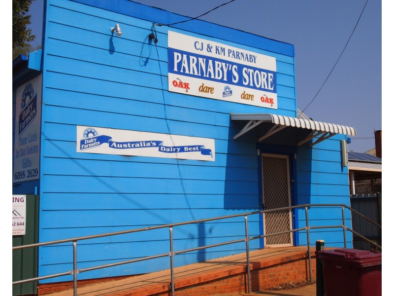 182 Bathurst Street, Condobolin NSW 2877