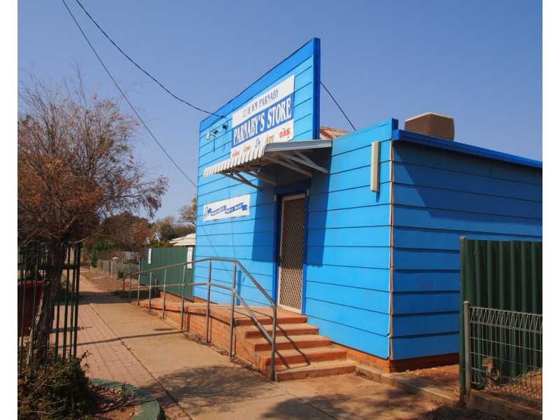 182 Bathurst Street, Condobolin NSW 2877