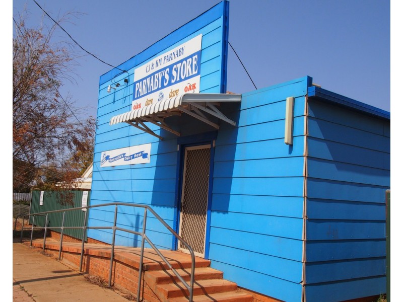 182 Bathurst Street, Condobolin NSW 2877