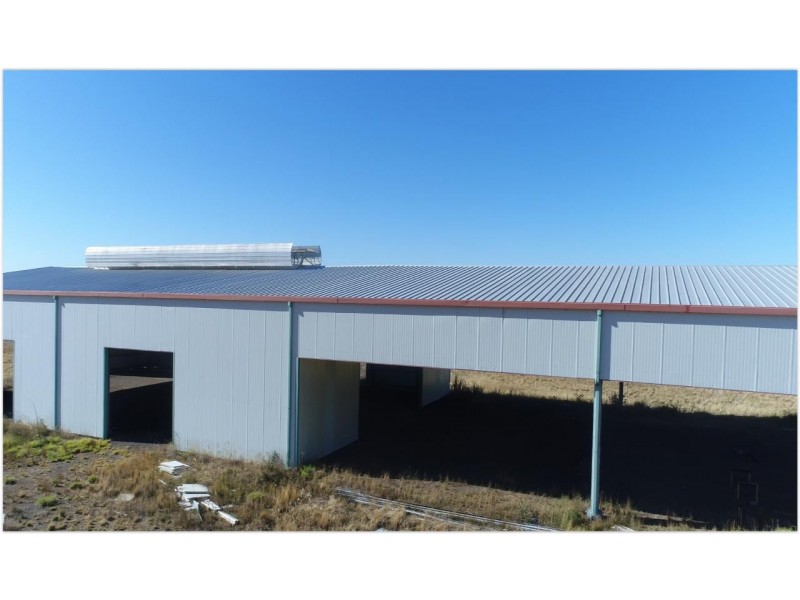 12 Angus Clarke Drive, Forbes NSW 2871