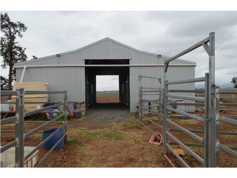 LOT 287 Newell Highway, Trewilga NSW 2869