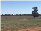 LOT 287 Newell Highway, Trewilga NSW 2869