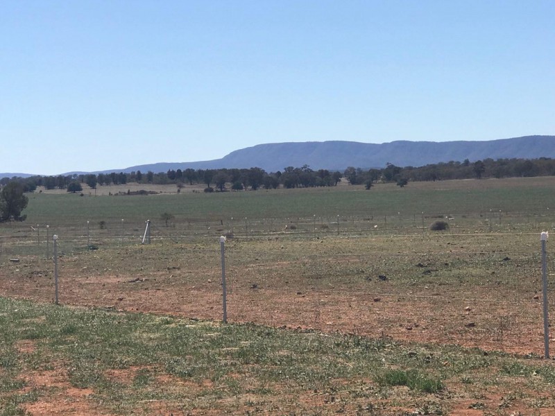 LOT 287 Newell Highway, Trewilga NSW 2869