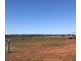 LOT 287 Newell Highway, Trewilga NSW 2869