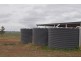 LOT 287 Newell Highway, Trewilga NSW 2869