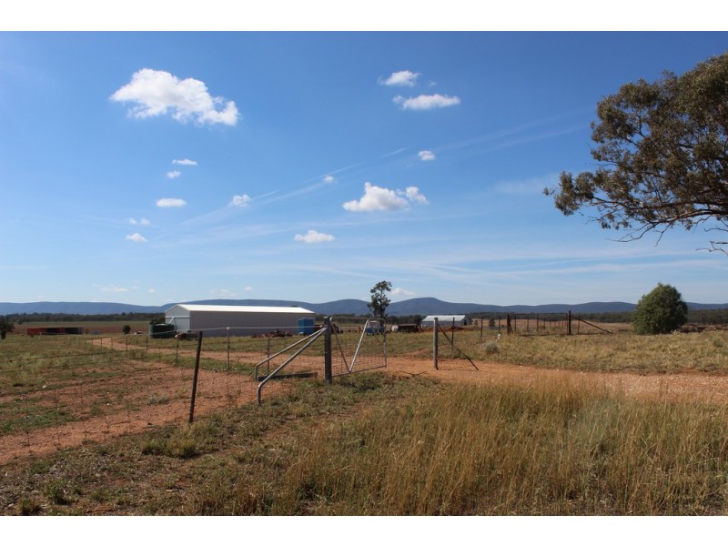 LOT 287 Newell Highway, Trewilga NSW 2869