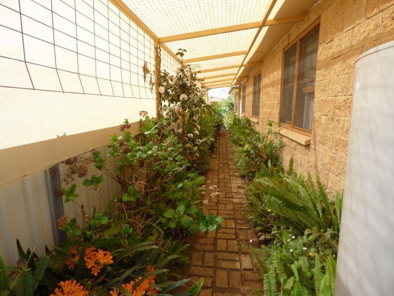 28 Alder Street, Forbes NSW 2871