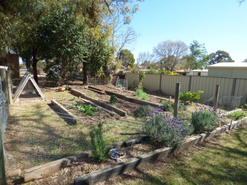 28 Alder Street, Forbes NSW 2871