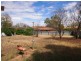 8 High Street, Condobolin NSW 2877