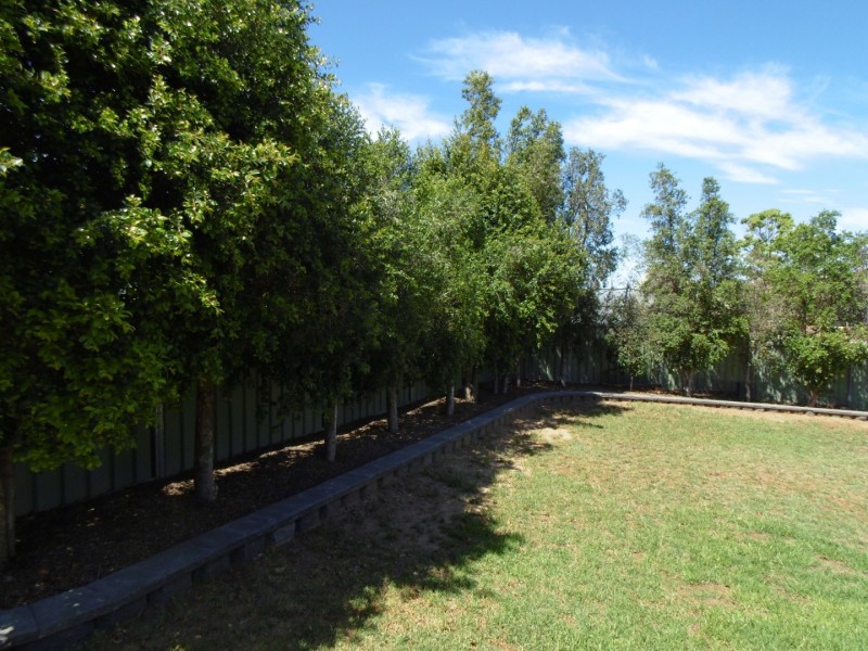 14 Glenburnie Close, Parkes NSW 2870
