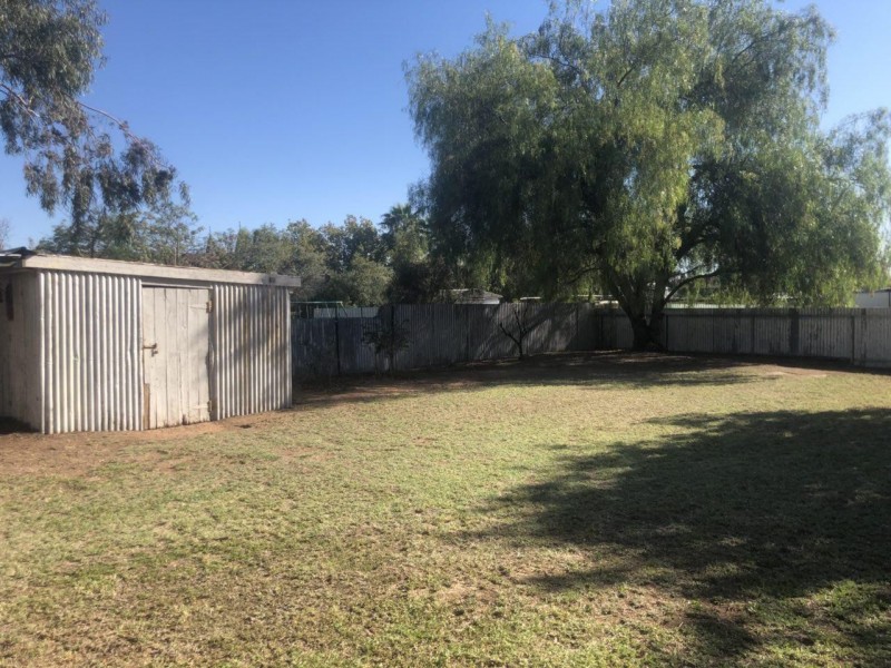 114 Euchie Street, Peak Hill NSW 2869
