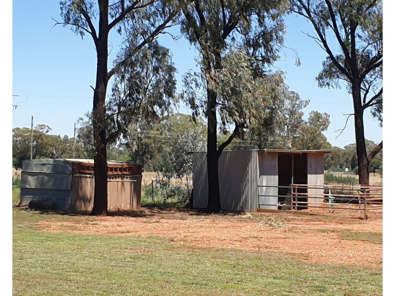209 Back Trundle Road, Parkes NSW 2870
