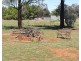 209 Back Trundle Road, Parkes NSW 2870