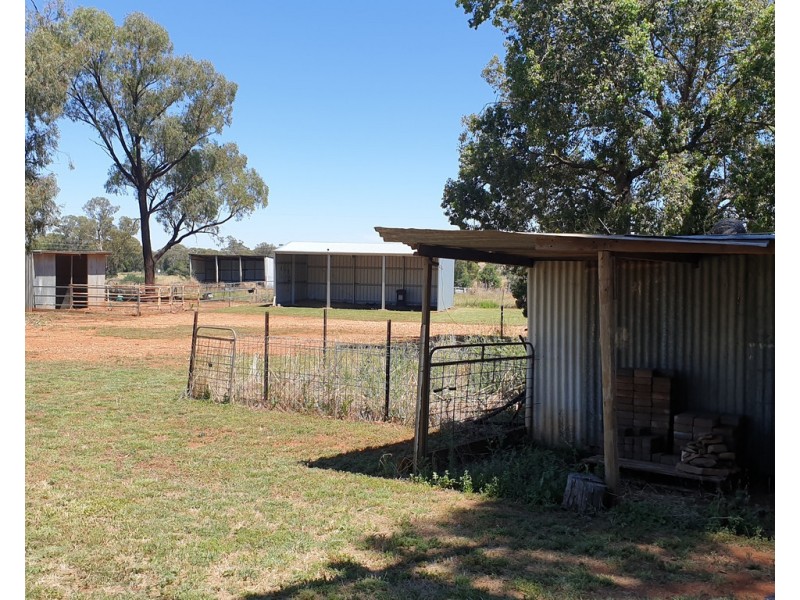 209 Back Trundle Road, Parkes NSW 2870