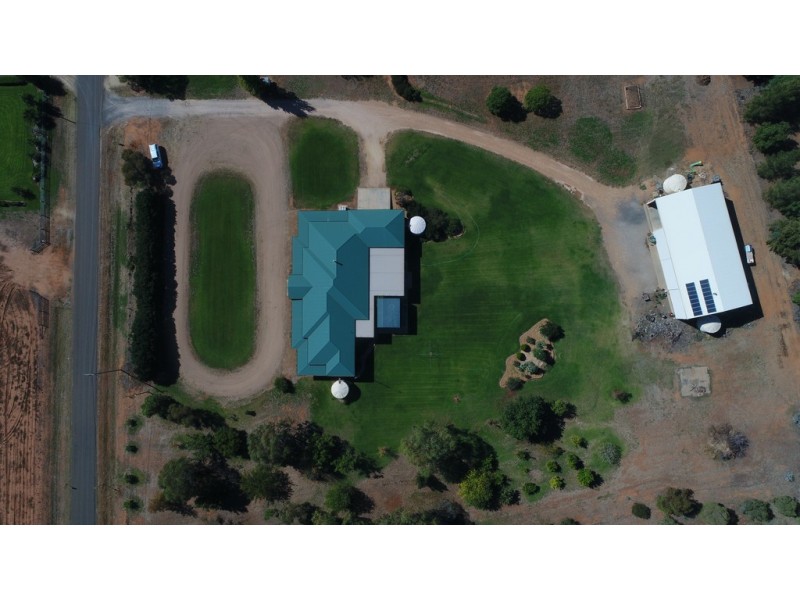 16 South Lead Road, Forbes NSW 2871