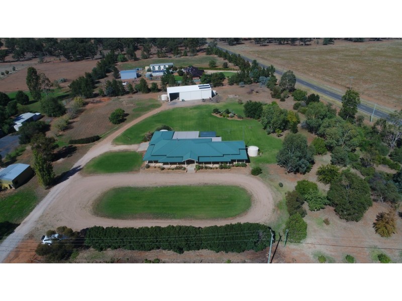 16 South Lead Road, Forbes NSW 2871