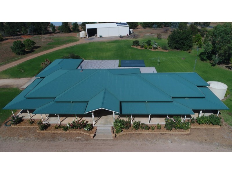 16 South Lead Road, Forbes NSW 2871