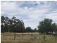 119 Lindner Street, Peak Hill NSW 2869