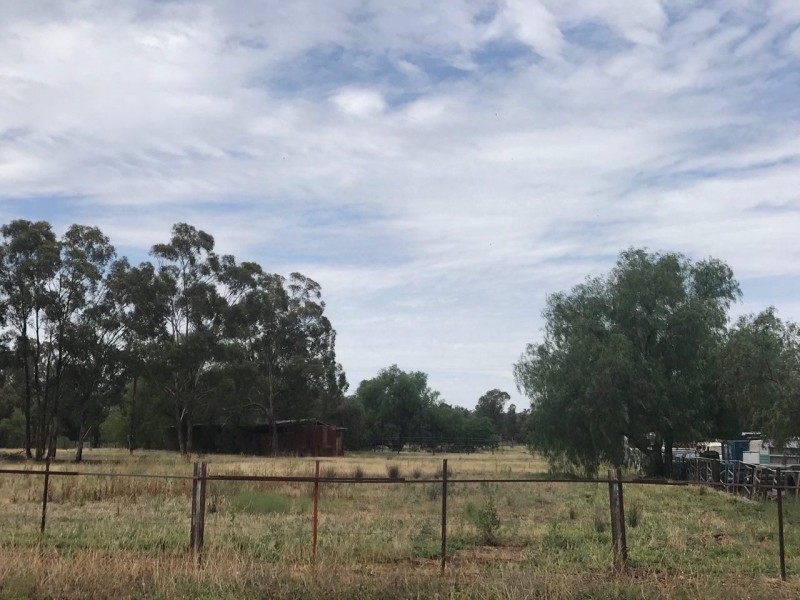 119 Lindner Street, Peak Hill NSW 2869