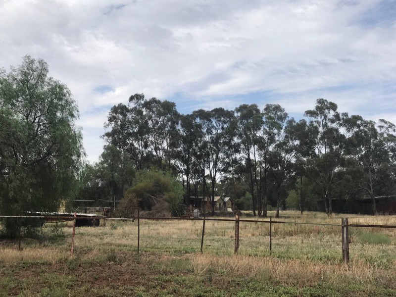 119 Lindner Street, Peak Hill NSW 2869
