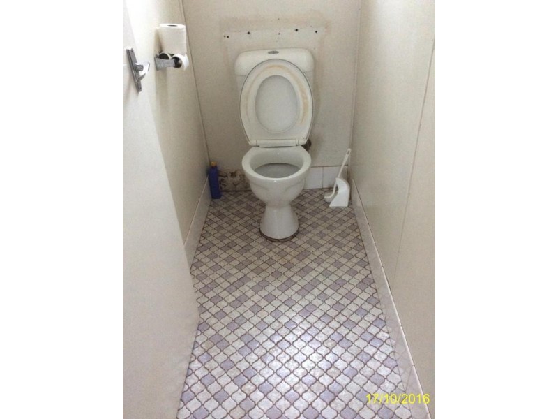 118 Euchie Street, Peak Hill NSW 2869