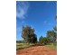 45 Maitland Street, Condobolin NSW 2877