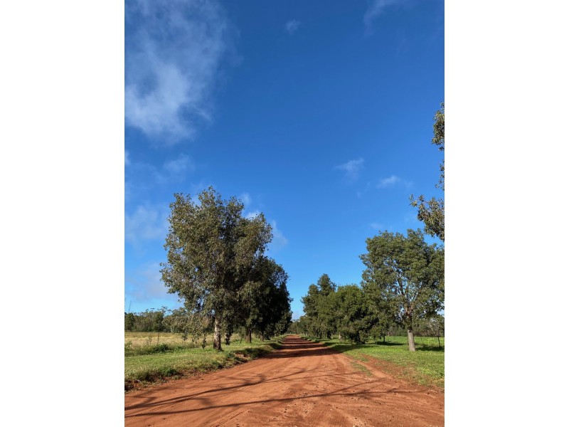 45 Maitland Street, Condobolin NSW 2877