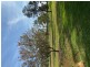 45 Maitland Street, Condobolin NSW 2877