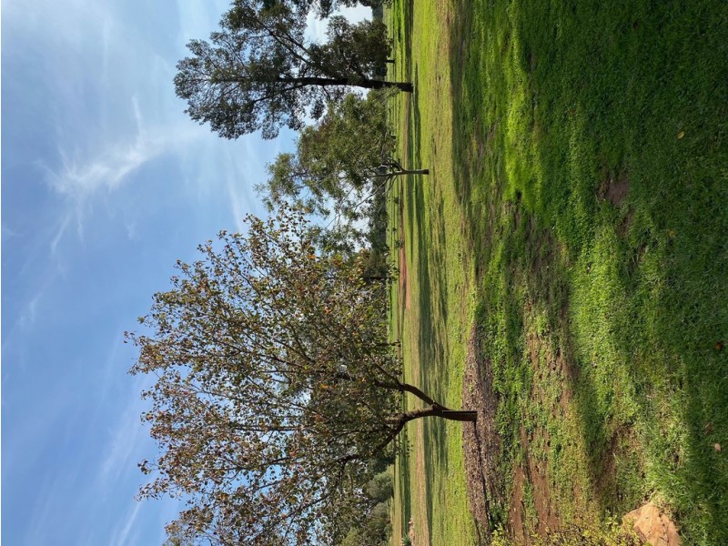45 Maitland Street, Condobolin NSW 2877