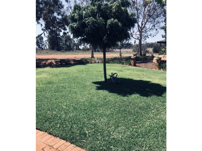 45 Maitland Street, Condobolin NSW 2877