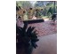 45 Maitland Street, Condobolin NSW 2877