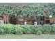 45 Maitland Street, Condobolin NSW 2877