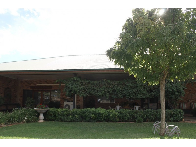 45 Maitland Street, Condobolin NSW 2877